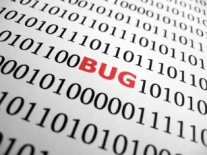 Software Bug