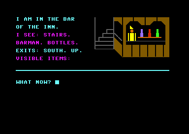 In the bar of the inn
